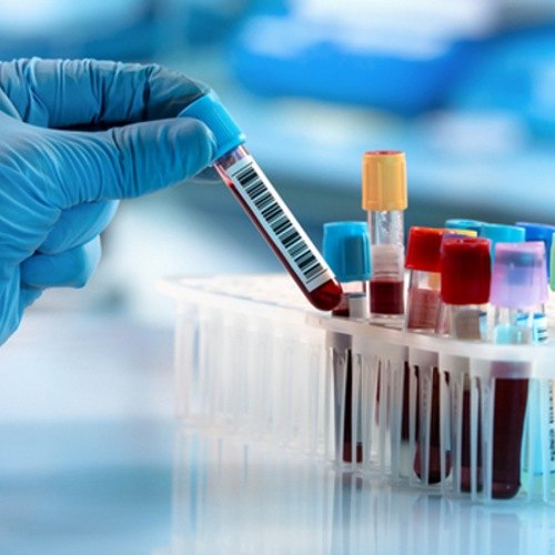 Laboratory Services