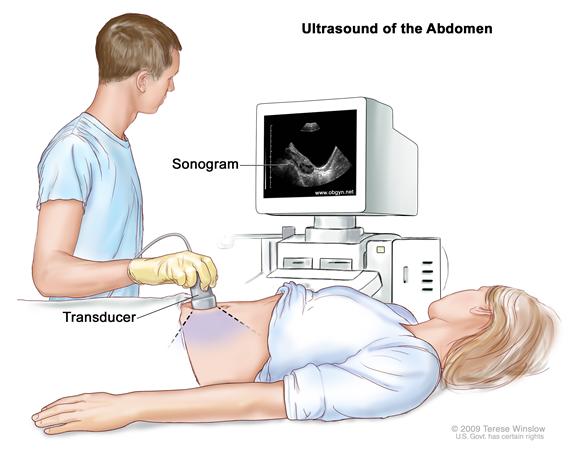 Ultrasound Suite